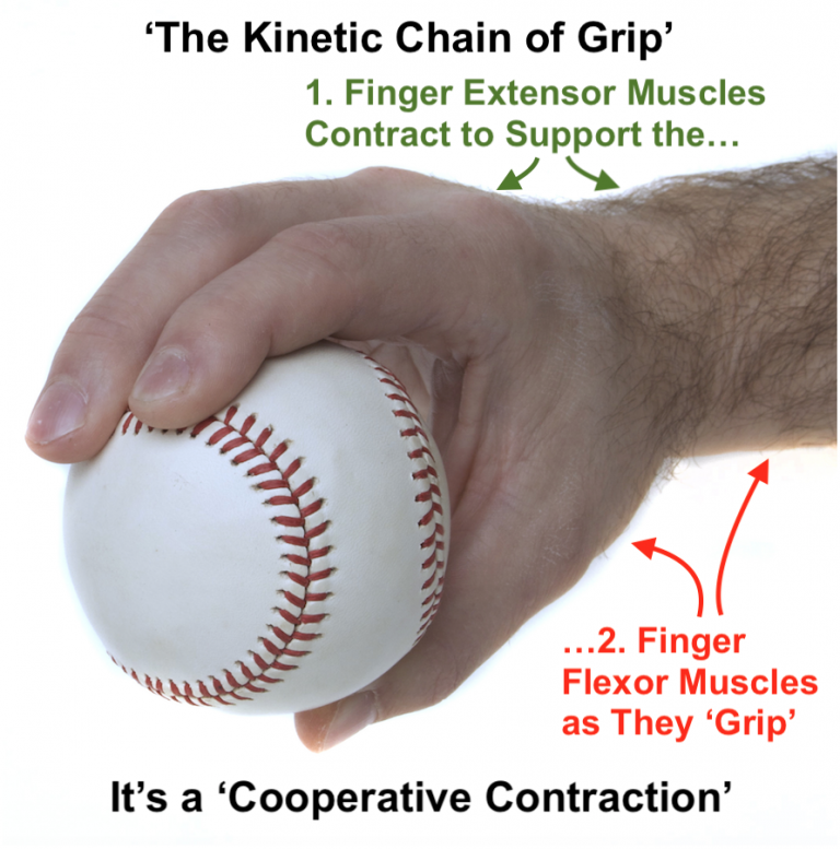 Understanding Hand Exercise & Grip Strength (Part 3) The